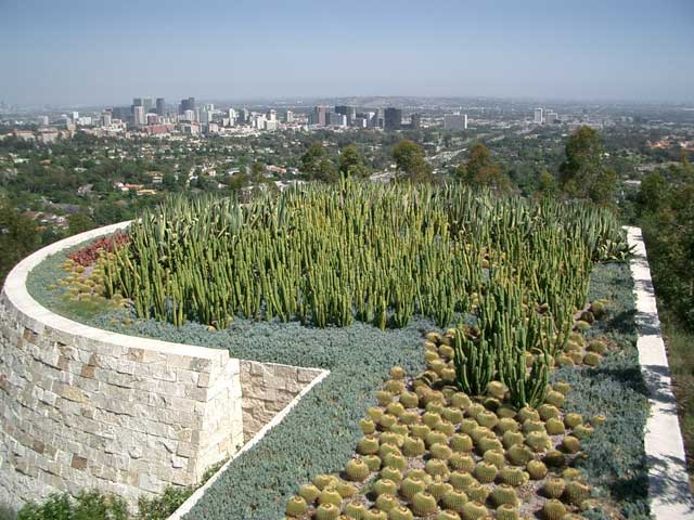 cacti garden at the Getty Center