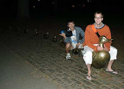 ducks