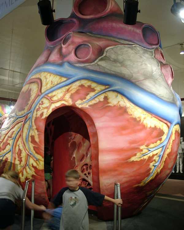 Giant Heart
