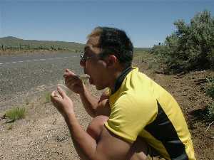 lunch on the way to Vale