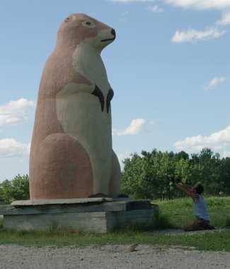 Prairie dog